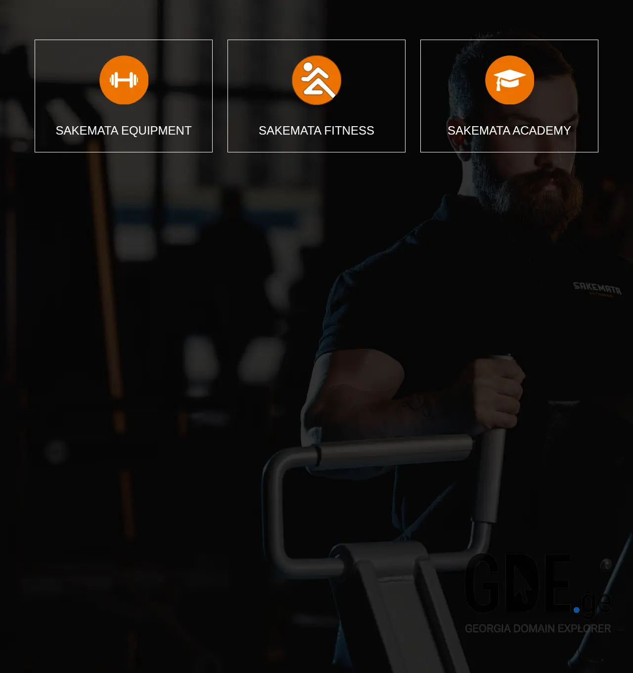 Screenshot of the site sakemata.ge at 2025-11-30