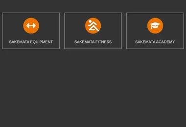 Screenshot of sakemata.ge
