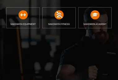 Screenshot of sakemata.ge