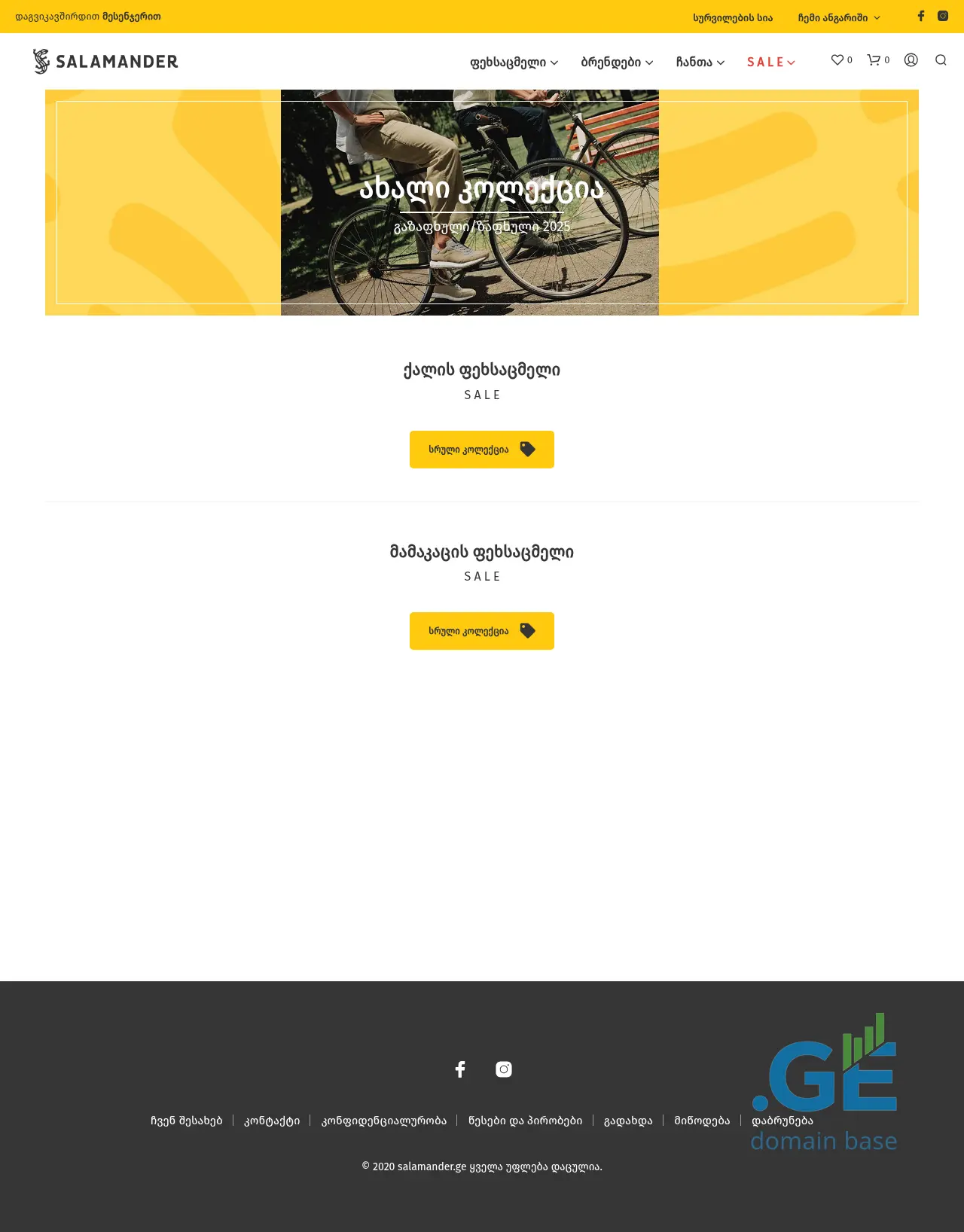 Screenshot of the site salamander.ge