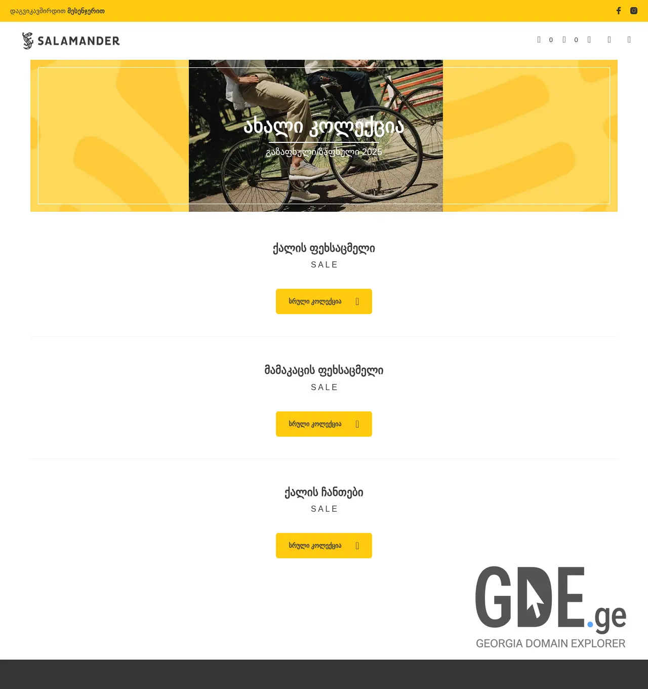 Screenshot of the site salamandergeorgia.ge at 2025-12-03