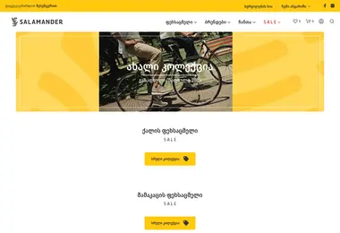 Screenshot of salamandergeorgia.ge