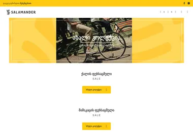 Screenshot of salamandra.ge