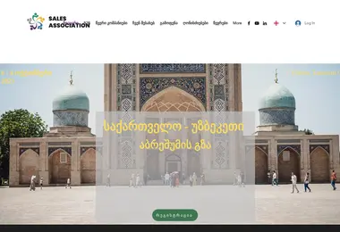 Screenshot of salesassociation.ge