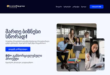 Screenshot of salesaudit.ge