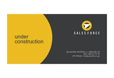 Screenshot of salesforce.ge