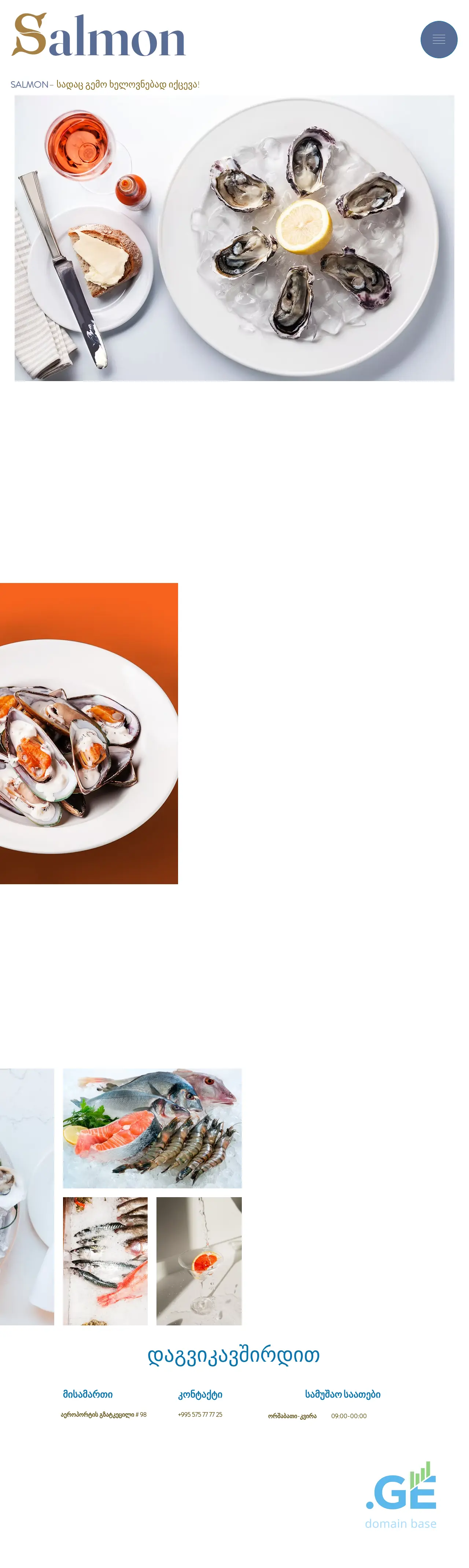 Screenshot of the site salmon.ge