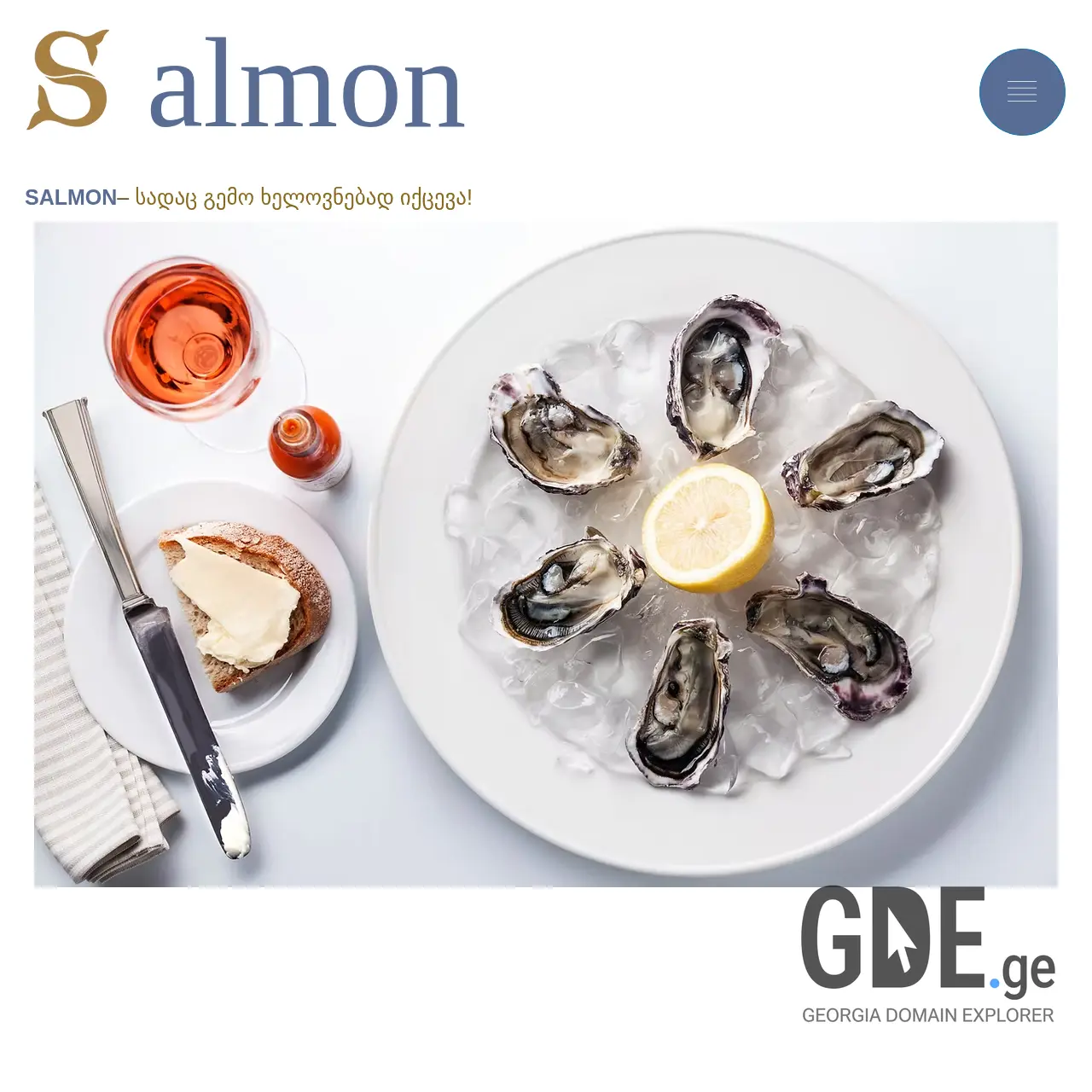 Screenshot of the site salmon.ge at 2025-12-11