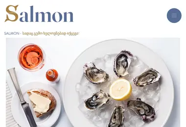 Screenshot of salmon.ge
