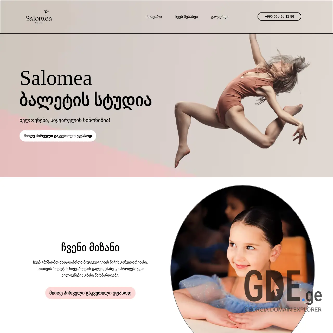 Screenshot of the site salomea.ge at 2025-12-11