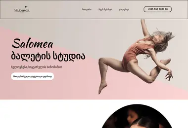 Screenshot of salomea.ge