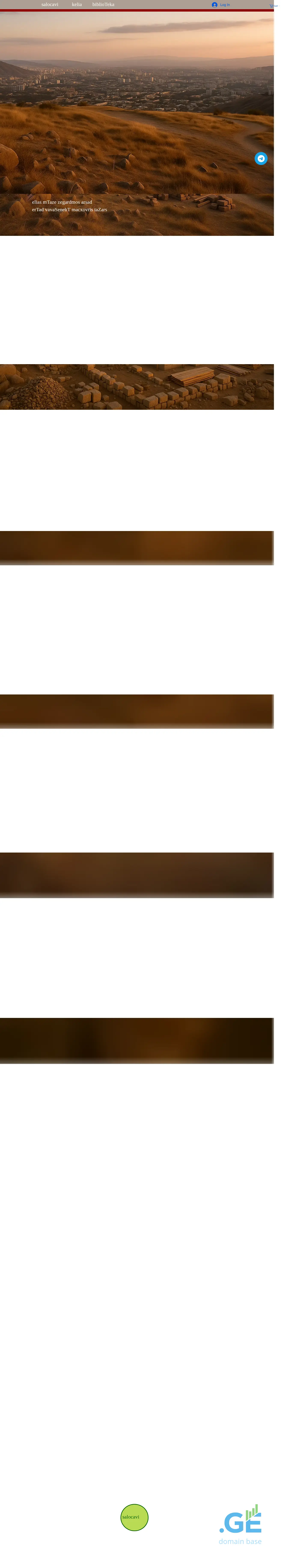 Screenshot of the site salotsavi.ge