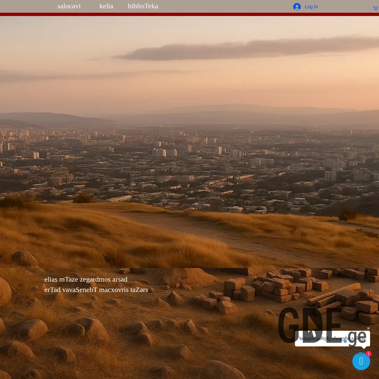 Screenshot of the site salotsavi.ge at 2025-12-11