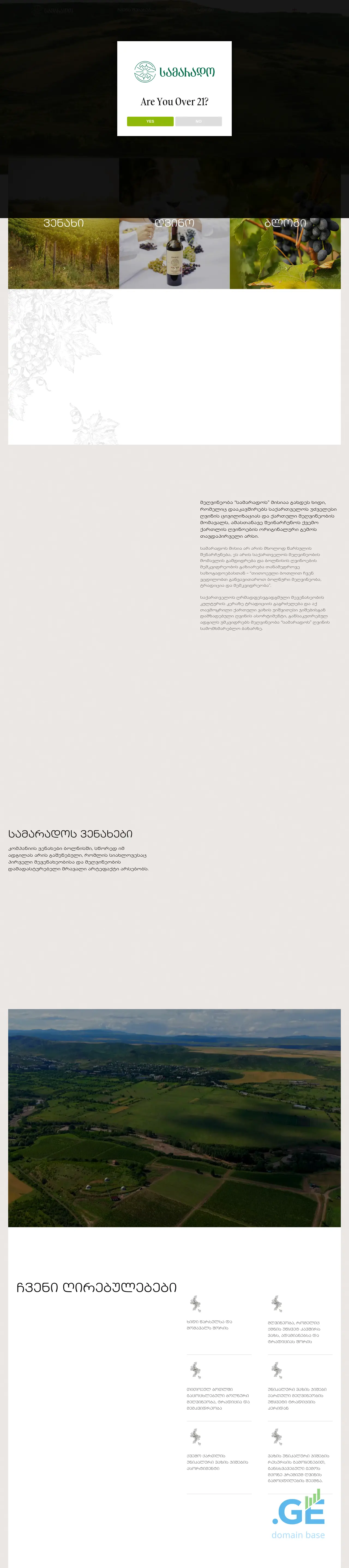 Screenshot of the site samarado.ge