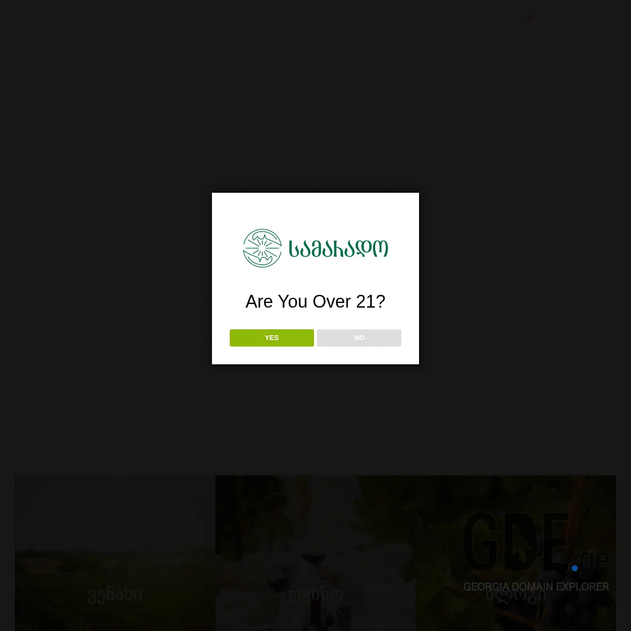 Screenshot of the site samarado.ge at 2025-12-11