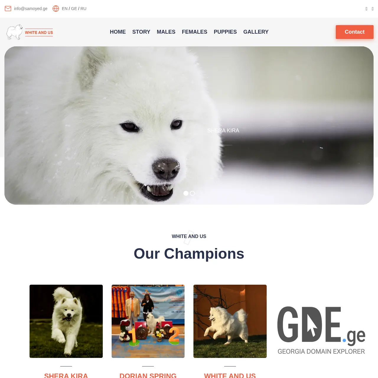 Screenshot of the site samoyed.ge at 2026-02-28