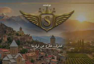 Screenshot of sanad.ge