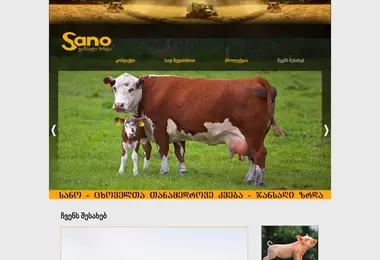 Скриншот sano-international.ge