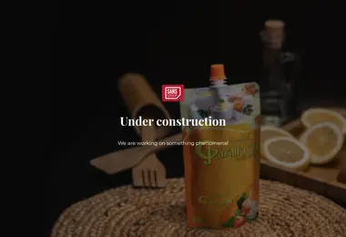 Скриншот sans.ge