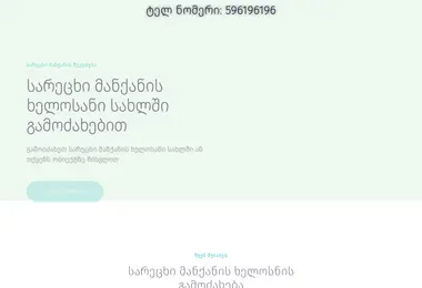 Screenshot of sarecxi.ge