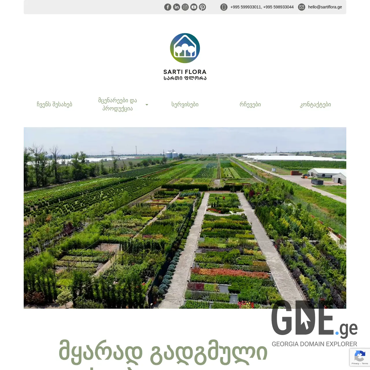 Screenshot of the site sartiflora.ge at 2025-12-11