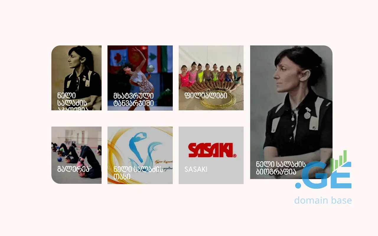 Screenshot of the site sasaki.ge