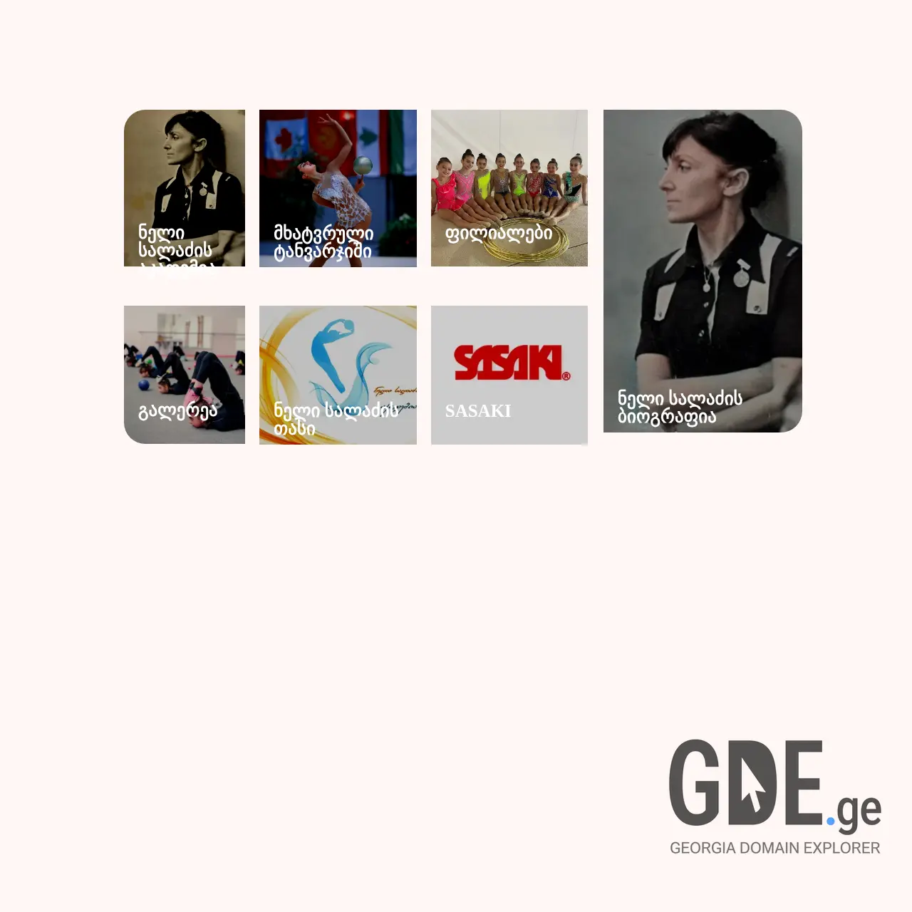 Screenshot of the site sasaki.ge at 2025-12-11