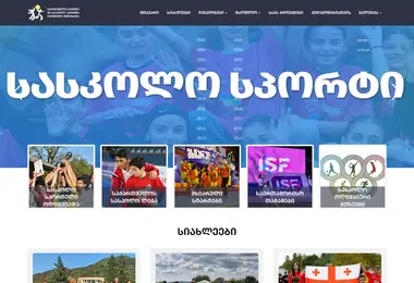 Screenshot of saskolosporti.ge