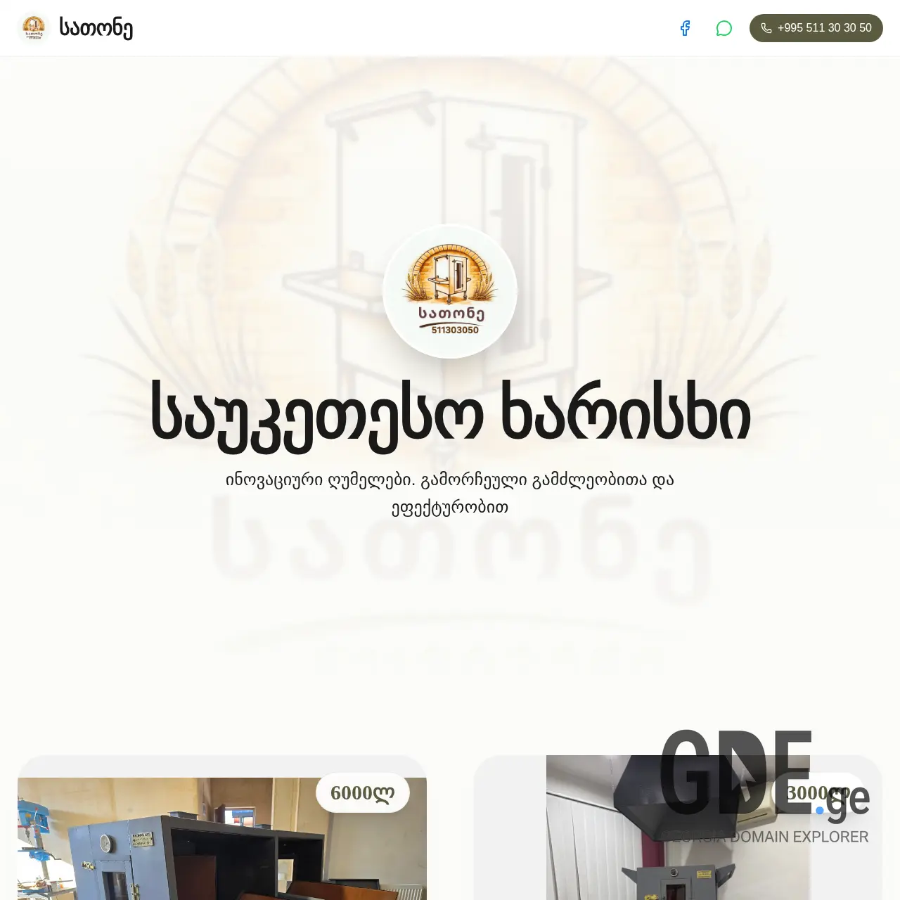 Screenshot of the site satone.ge at 2026-02-26