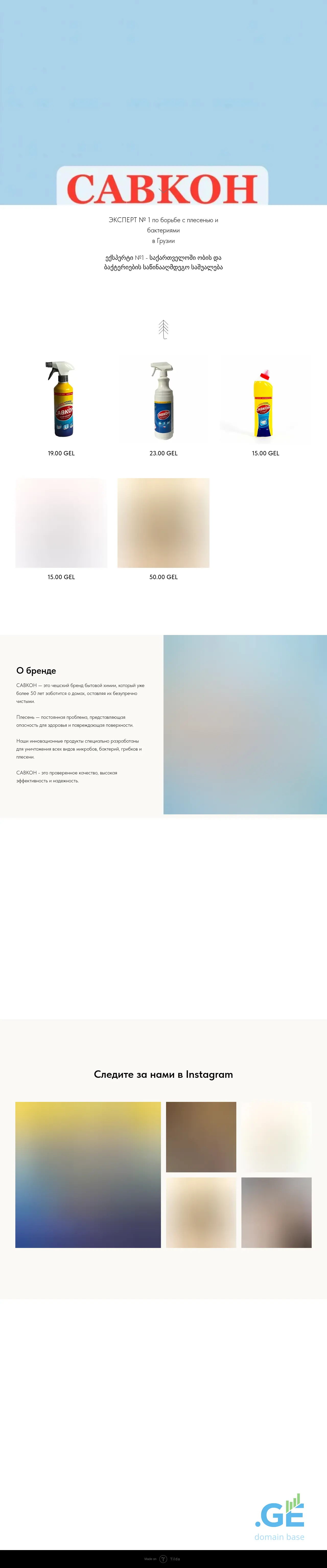 Screenshot of the site savkon.ge