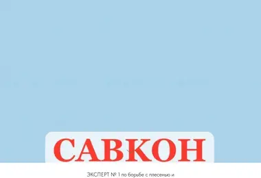 Screenshot of savkon.ge