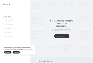 Screenshot of savvy.ge