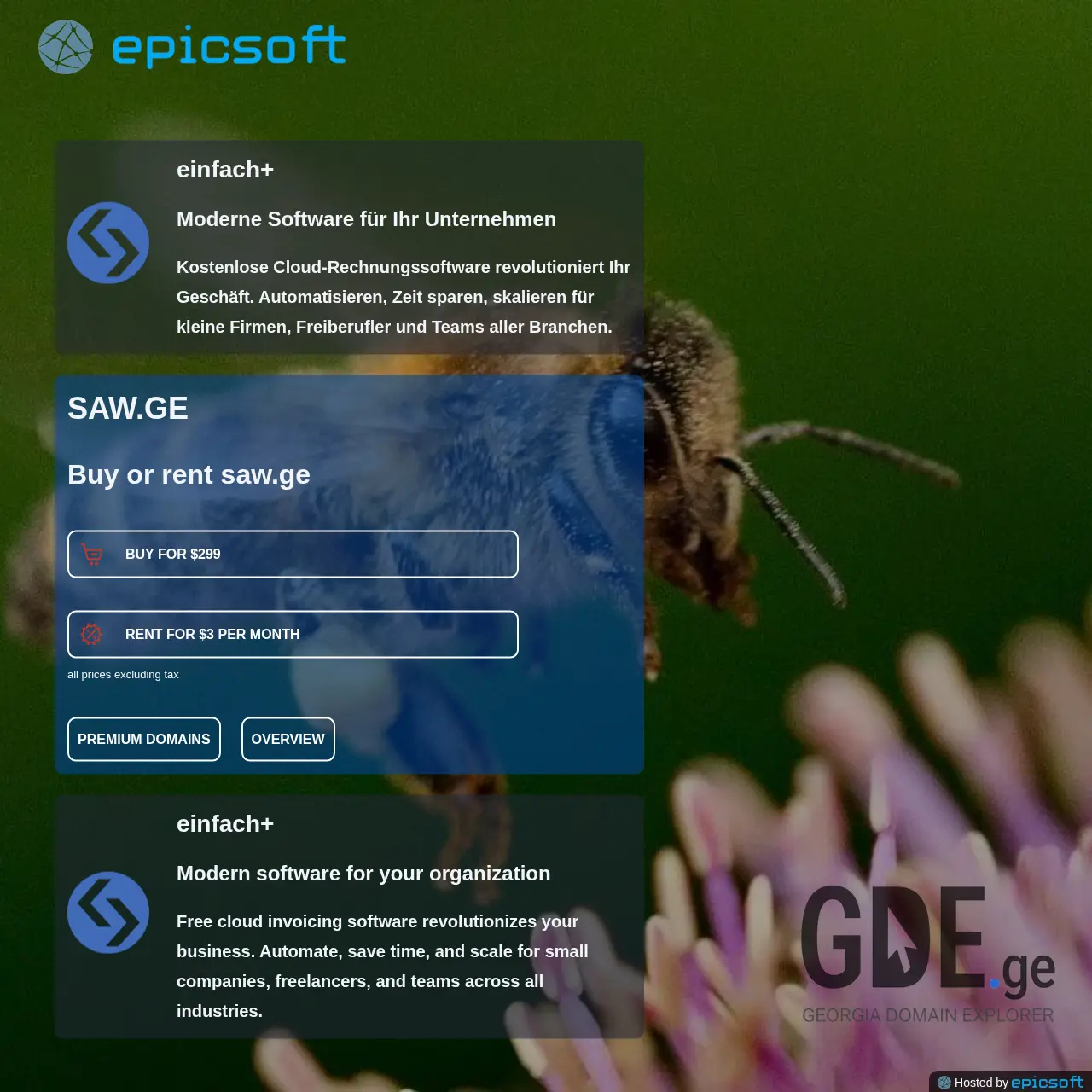 Screenshot of the site saw.ge at 2025-12-11