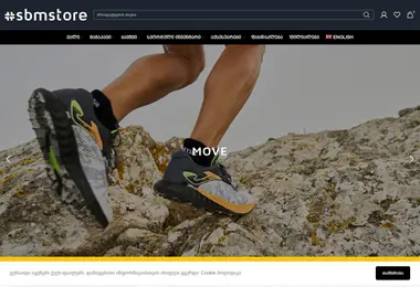 Screenshot of sbmstore.ge
