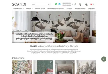 Screenshot of scandi.ge