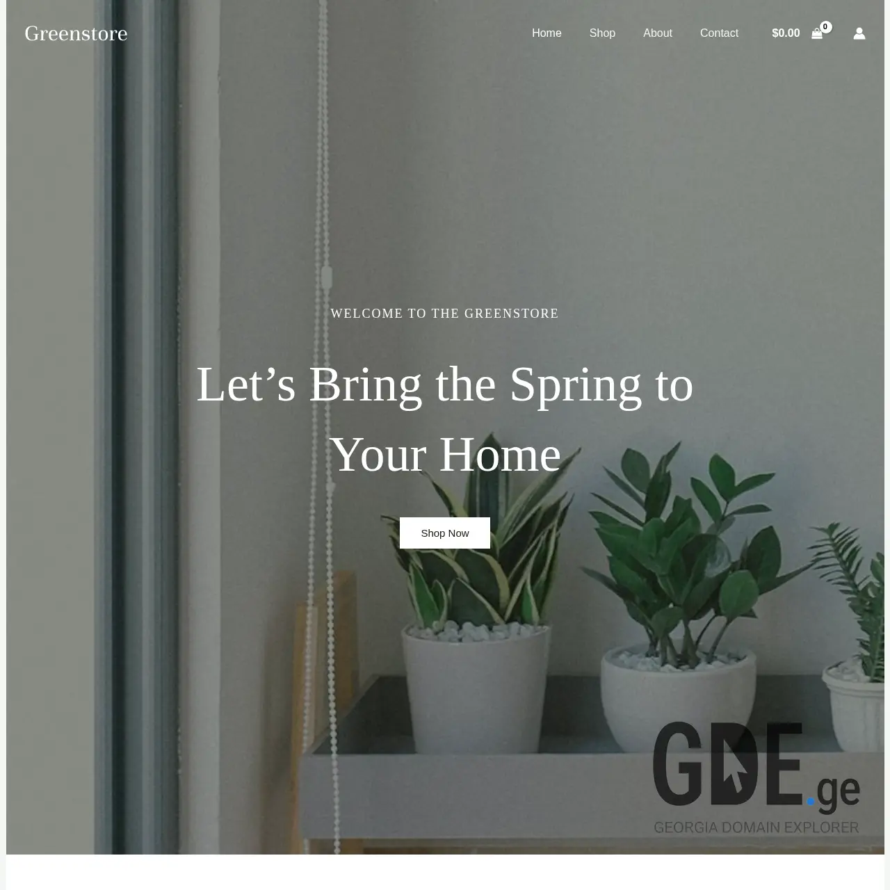 Screenshot of the site scgroup.ge at 2025-12-11