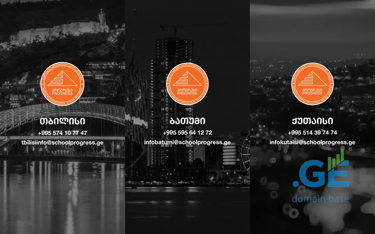 Screenshot of the site schoolprogress.ge at 2025-09-08