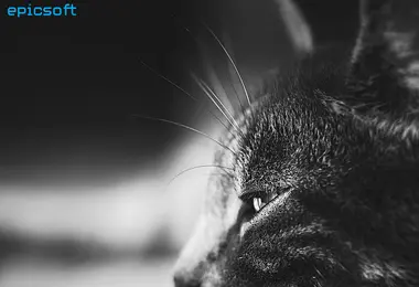 Preview from 11.12.2025