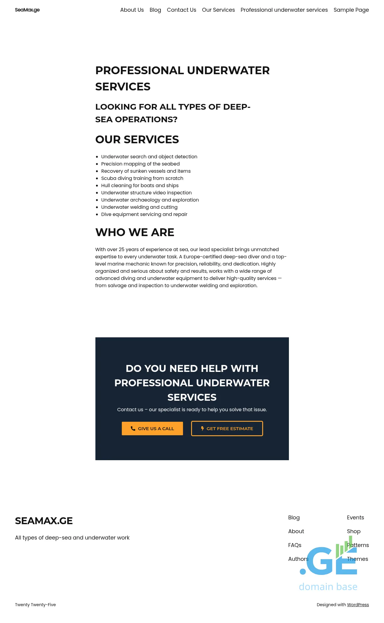 Screenshot of the site seamax.ge