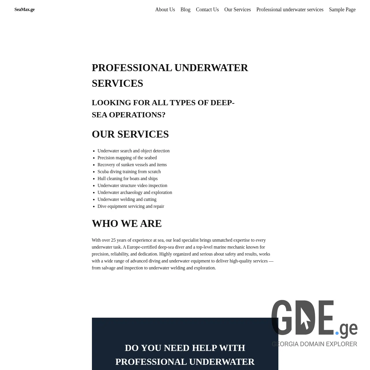 Screenshot of the site seamax.ge at 2025-12-11