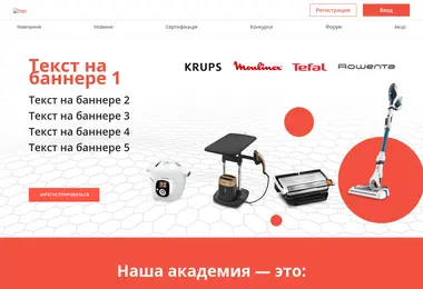 sebacademy.ge-ის ეკრანის სურათი
