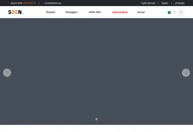 Скриншот seen.ge
