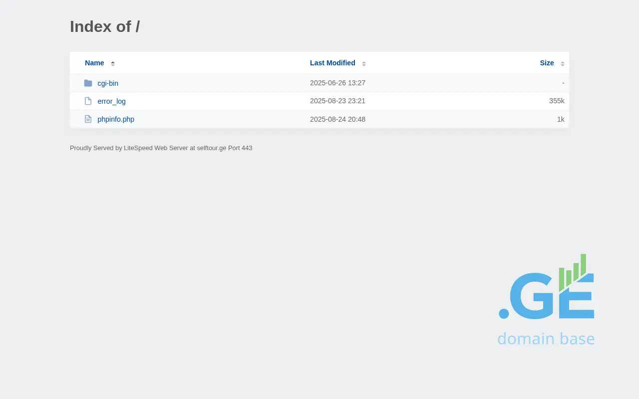 Screenshot of the site selftour.ge