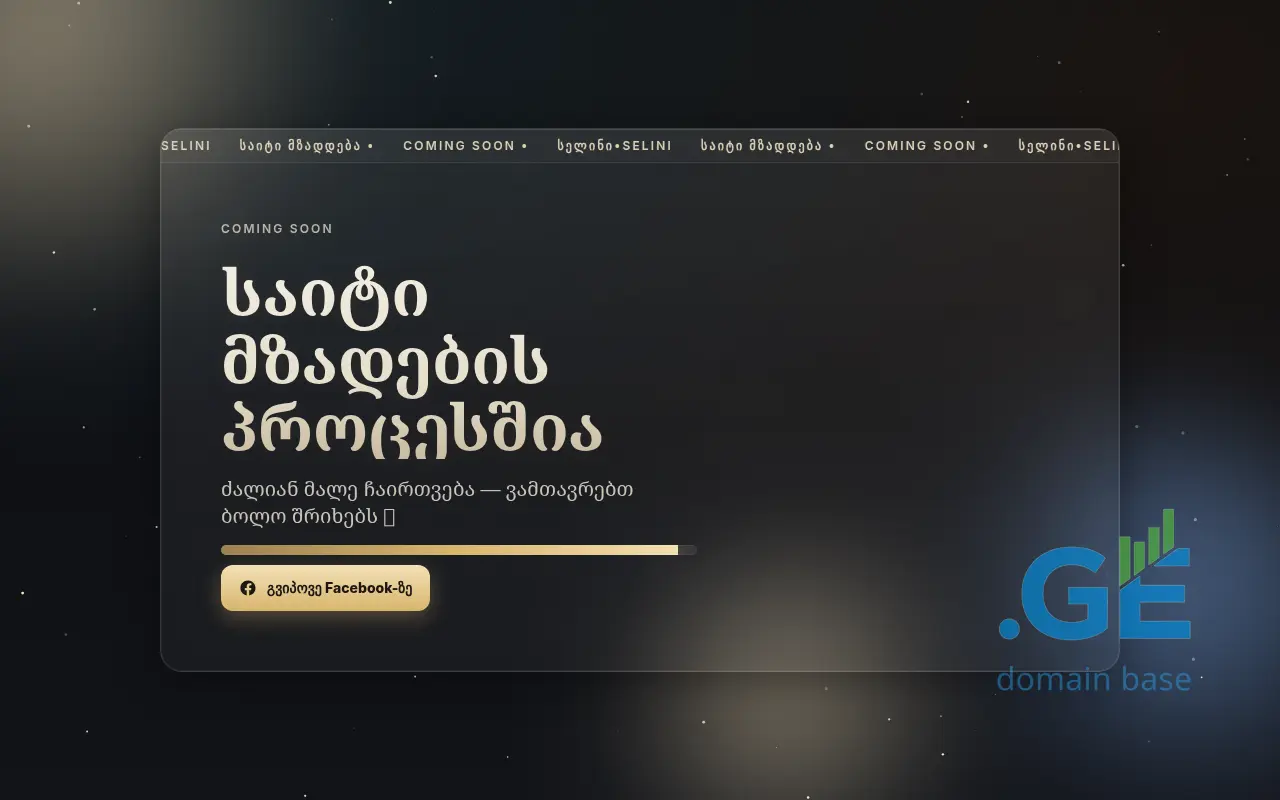 Screenshot of the site selini.ge