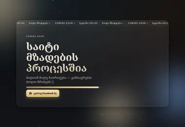 Screenshot of selini.ge