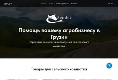 Скриншот sendev.ge