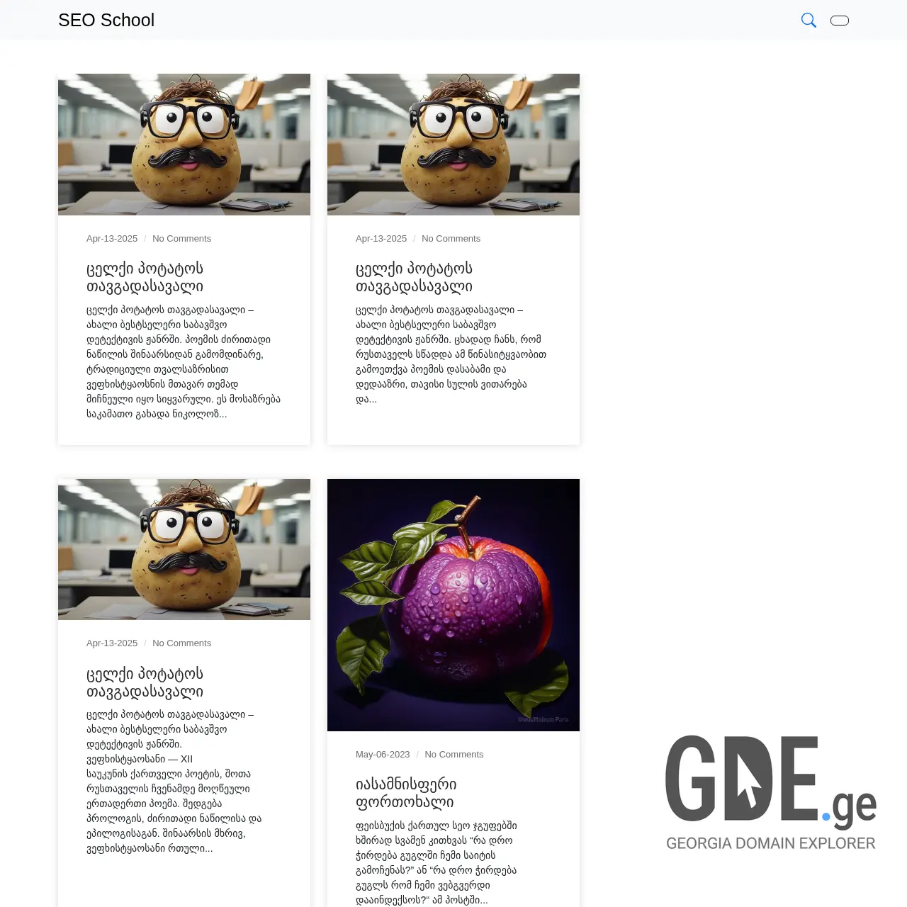 Screenshot of the site seoschool.ge at 2025-12-11