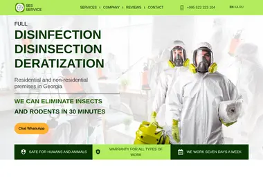 Screenshot of ses-service.ge