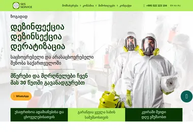 Screenshot of ses-service.ge