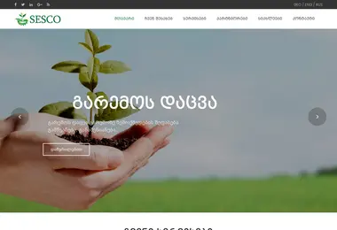 Screenshot of sesco.ge